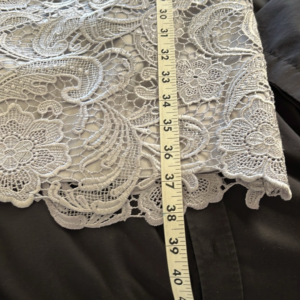 Adrianna Papell Lace Sheath Dress - Picture 7 of 12